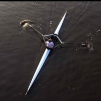 Aparna Chandrashekaran (@aparnact) 's Twitter Profile