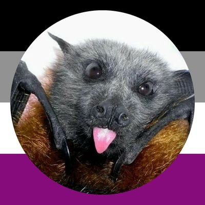 BatsDaily Profile Picture