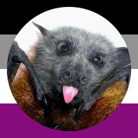 Bats Nightly 🦇(@BatsDaily) 's Twitter Profile Photo