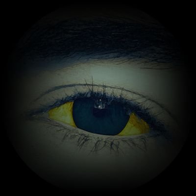 GldBlxxdedHeart's profile picture. ➽───────────────❥                                                                        ੈ✩‧₊˚ #H2Dcht ❈ the only H2D fan ◈ stan tiagon ᗢ
➽───────────────❥