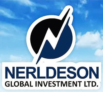 NERLDESON GLOBAL INVESTMENT LTD offers a comprehensive range of technology solutions designed to address the specific needs of businesses in various industries.