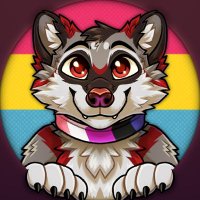 Sy Raccoon(@psythu) 's Twitter Profile Photo