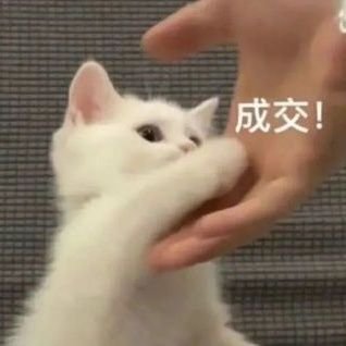 Timi11016612's profile picture. 平平无奇喜欢看碎碎念的人罢了（♂）