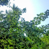 やましぃ (@8047_227) 's Twitter Profile Photo