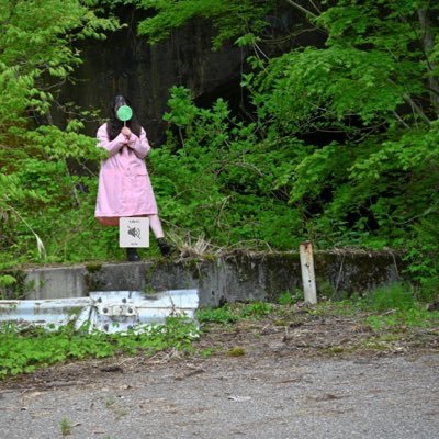 廃墟と自然が好きで、虫嫌いな人。お菓子作りで糖分補給。猫。🐽🙇🏻‍♀️