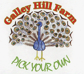 GalleyHillFarm's profile picture. Galley Hill Farm for Strawberries, Gooseberries, Raspberries, Tayberries, Blackcurrents, Redcurrents, Blackberries and Apples