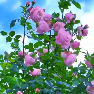 PaulBaa62844248's profile picture. 