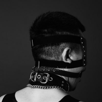 Collared Alpha pup who has a Shibari bf and a slave. 👑Handler(主人)-@Handler_0508 🪢Shibari boyfriend(繩縛男友)-@jeruttali 🧎🏻Slave(奴)-@Owenwantsmore