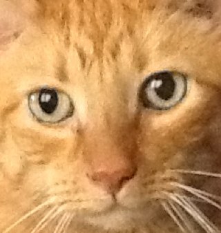 Bunny_Fat's profile picture. Man your own jackhammer.