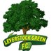 Leverstock Green F.C. Development (@LGFC_Dev) Twitter profile photo