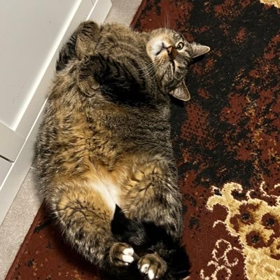 Oak99610948's profile picture. hero of the day