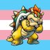 daily bowser (@daily_bowser) Twitter profile photo