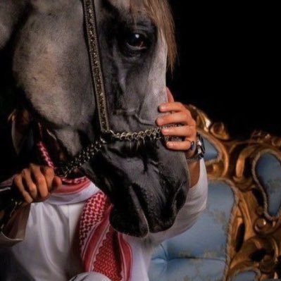 Aalahmdsh's profile picture. 