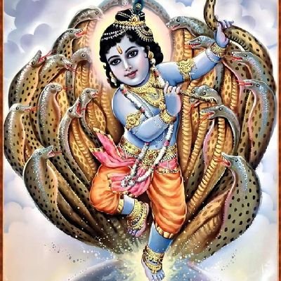 lakshmisv's profile picture. Proud Indian🇮🇳
Jai Hind🫡