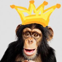 Caeser is not Australopithecus Aferensis (@flyingpenguen83) Twitter profile photo