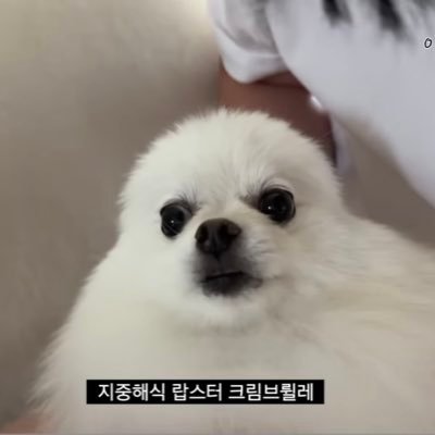 타락천사 이나리우스