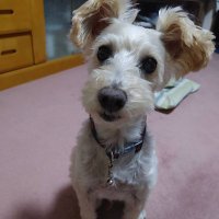 まさ (@msy123123) 's Twitter Profile
