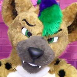 Hyena who loves to perform/create 
🥰❤😺

30 | he/they | 🏳‍🌈  |  💕 @DarbyWuff | BLM | Trans rights | suit: @roofur