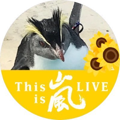 嵐応援垢です。 皆さんに可愛がっていただいている現2号機の妹?ができました! ややにの💛寄りですが嵐5人💙❤️💚💛💜に風を。。 (著作権、肖像権等ルールは守りたい派)