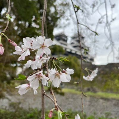 すずめです。 2003/4/28 🇯🇵 お出かけと写真が趣味です。 Photography account.