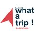 What A Trip ! Festival (@watmtp) Twitter profile photo What A Trip ! Festival (@watmtp) Twitter profile photo