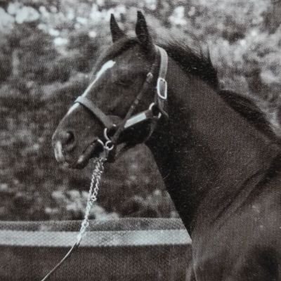 EdJ4goQtIyuwXkH's profile picture. 基本的にSNS向いてない人
Gジェネエターナル始めました