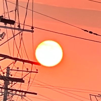 raraneit's profile picture. 🫥🫥