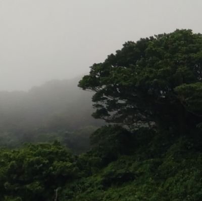 kumonsay's profile picture. 最近のハマリは刀ミュと刀ステとツイステ。
曲はTWiN PARADOXとZIPANGOPERA