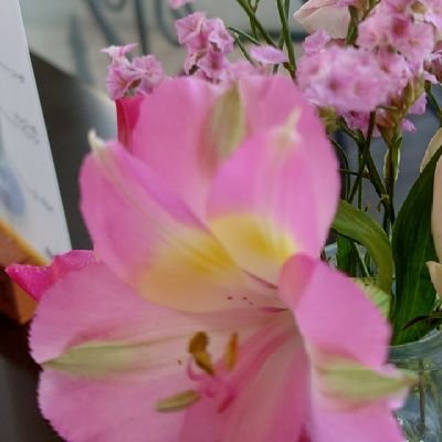 みんと❀さんのプロフィール画像
