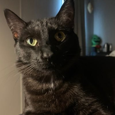 livmorgansfeet's profile picture. 