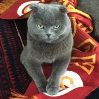 😾mtg😸 (@mustafaturhang2) 's Twitter Profile Photo 😾mtg😸 (@mustafaturhang2) 's Twitter Profile Photo