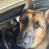 GingerSnaps 🇺🇸🇺🇸🇺🇸 (@katedav42926640) 's Twitter Profile Photo GingerSnaps 🇺🇸🇺🇸🇺🇸 (@katedav42926640) 's Twitter Profile Photo