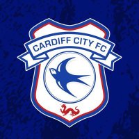 Cardiff City TR(@CardiffTurkey) 's Twitter Profile Photo
