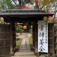 大妻女子大学 表千家茶道部[公式] (@owu_chado) Twitter profile photo
