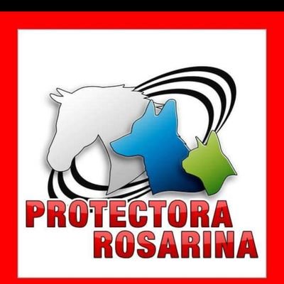 ⭕Ong animalista
⭕Fomentamos la  adopción responsable
⭕Concientizamos sobre la esterilización
🚩No tenemos refugio❗❗
⭕ Difundimos campañas de Castración