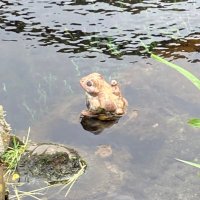 地味土竜(じみもぐら) (@farm_mogura) 's Twitter Profile Photo