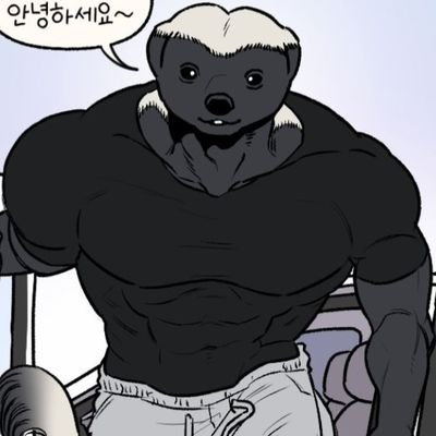 limitsee's profile picture. 🇰🇷🇺🇸🇨🇳 🦊