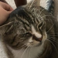 Conversations with Momo (@convowithmomo) 's Twitter Profile