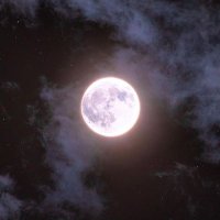 ADAM (@wavbyadam) 's Twitter Profile