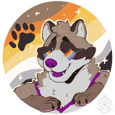 NookiRaccoonさんのプロフィール画像