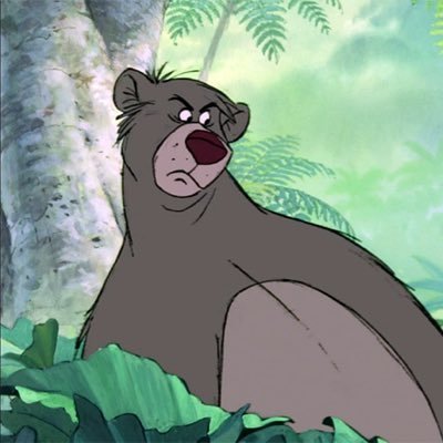 Baloo The Betting Bear