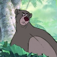 Baloo The Betting Bear (@baloocrosby) Twitter profile photo