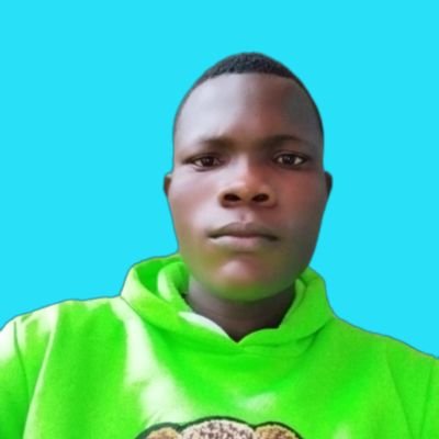 je suis un Électrotechnicien , Infopreneur,un programmeur
