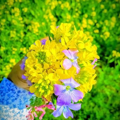 tatsthtik's profile picture. I belive that God is one..