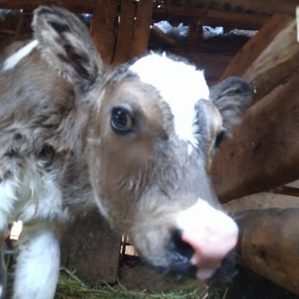 SmartEm73150161's profile picture. 