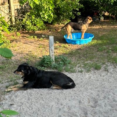 amandasue721's profile picture. just being happy