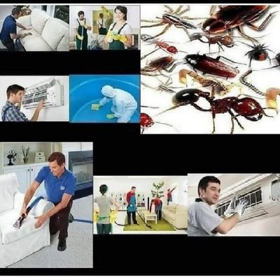 rdakhmyskh658's profile picture. 0558662561