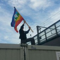 Waldgeist (@raupe3) 's Twitter Profile
