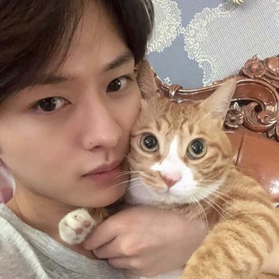 linopout's profile picture. "are you good at catching bugs?" #LeeKnow: it depends on how i feel.