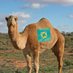 VRLCAMEL (@vrlcamel) Twitter profile photo VRLCAMEL (@vrlcamel) Twitter profile photo